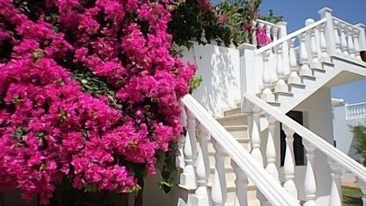 Photo of Outdoor in Pegeia