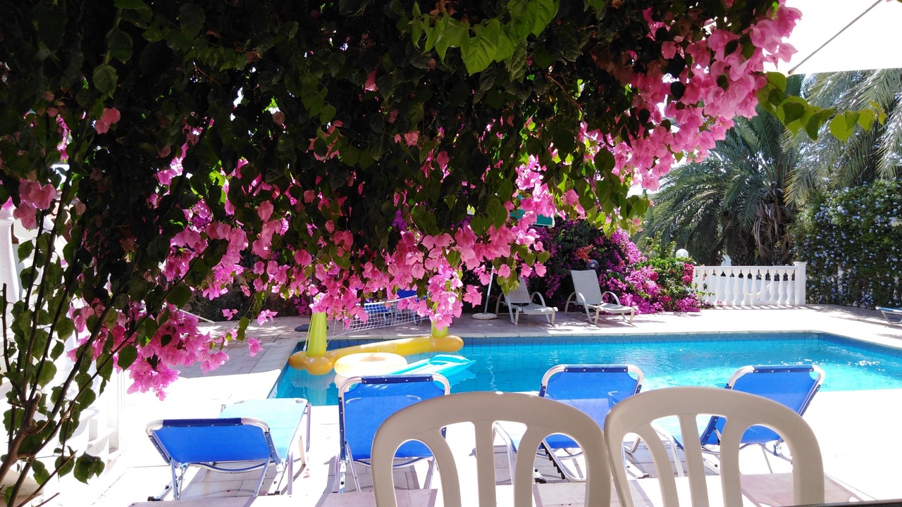 Photo of Outdoor in Pegeia