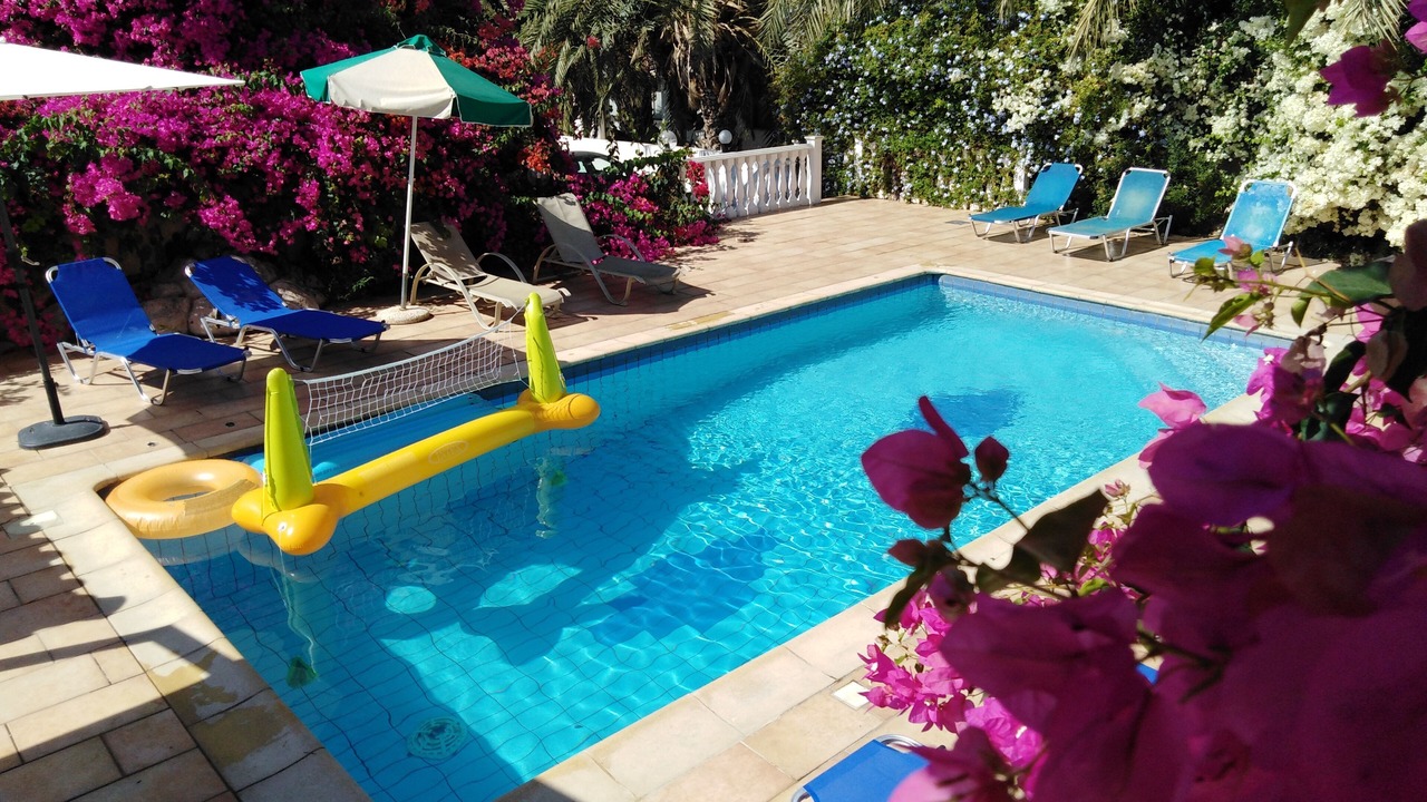 Photo of Outdoor in Pegeia