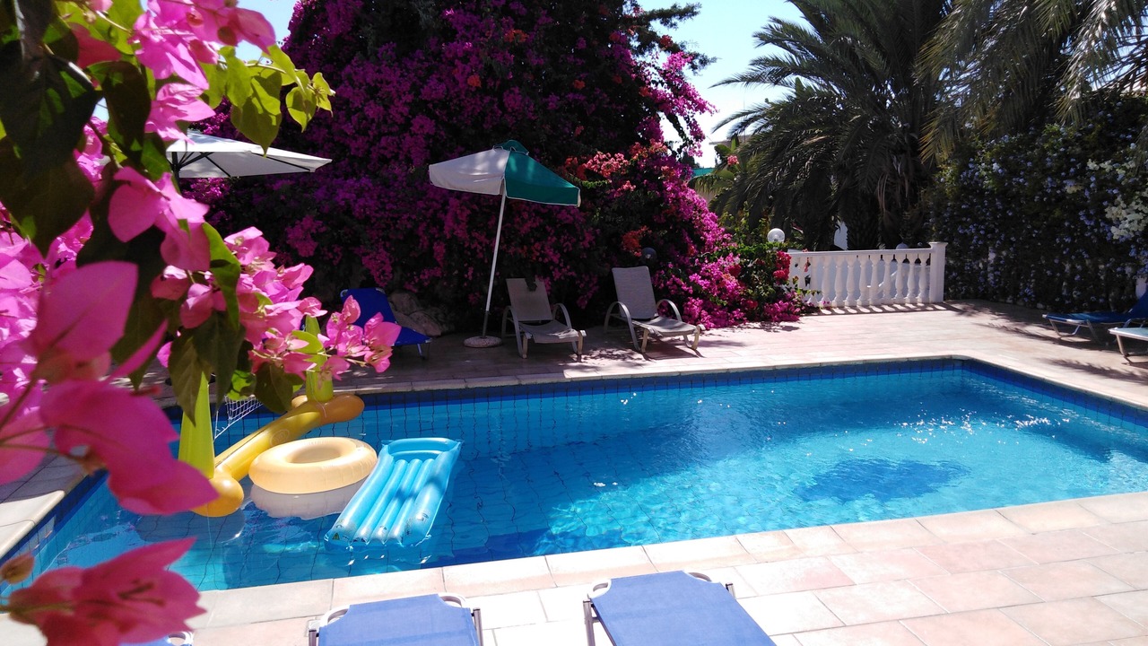 Photo of Outdoor in Pegeia