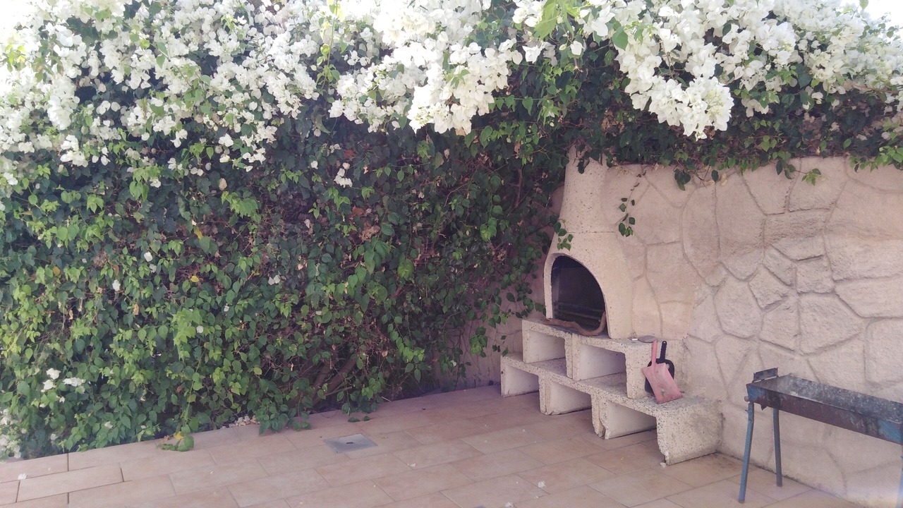 Photo of Patio Balcony in Pegeia