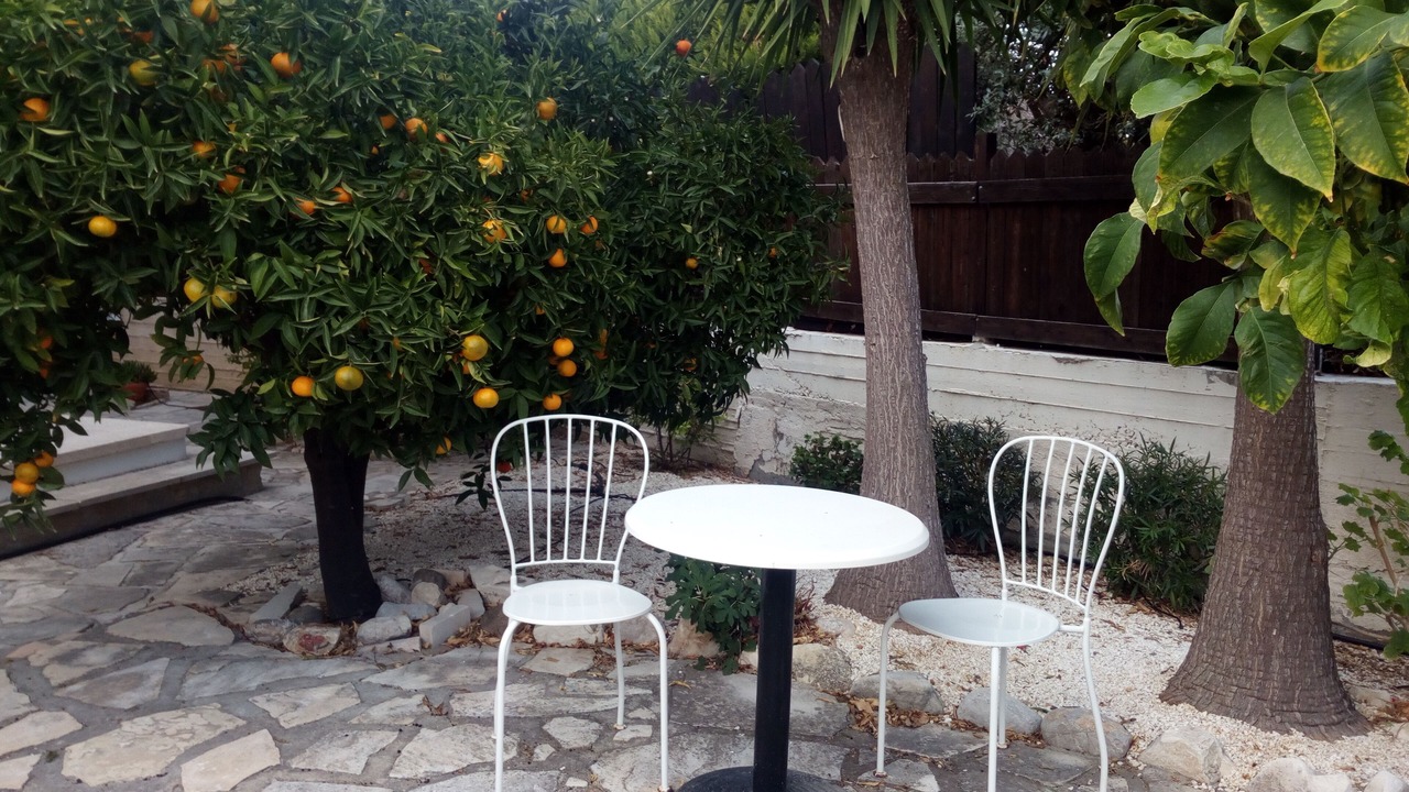Photo of Outdoor in Pissouri