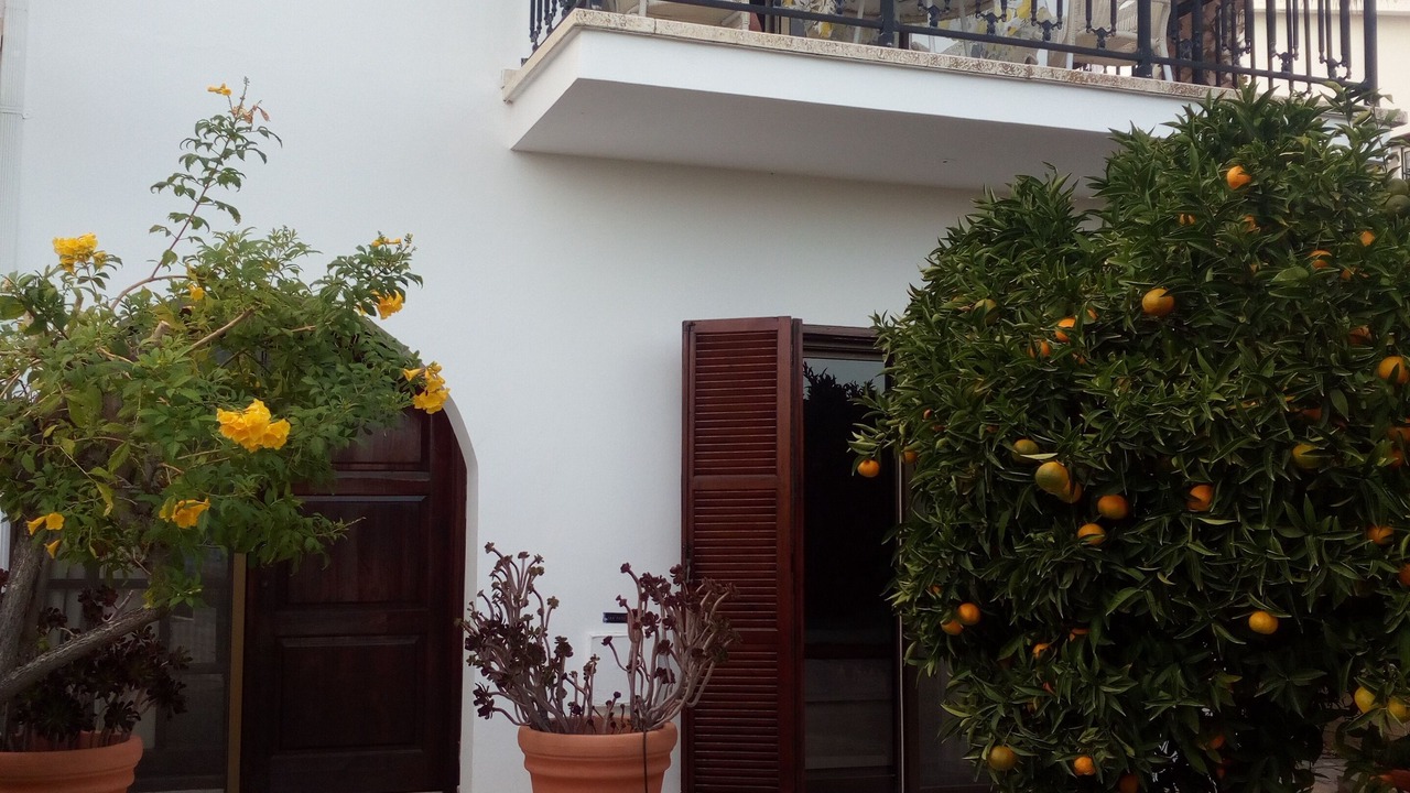 Photo of Outdoor in Pissouri