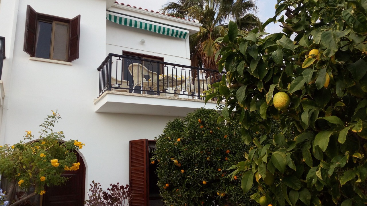 Photo of Others in Pissouri