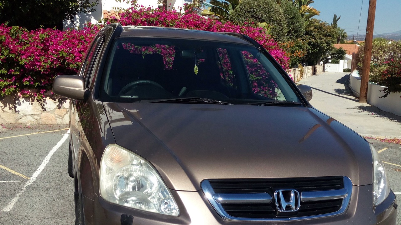 Photo of Outdoor in Pissouri