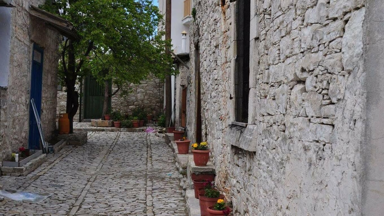 Photo of Others in Laneia