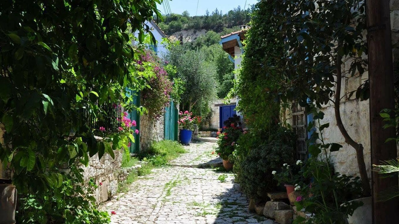 Photo of Others in Laneia