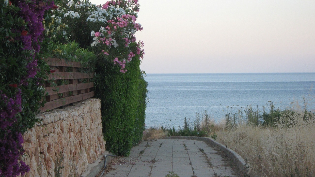 Photo of Outdoor in Latchi