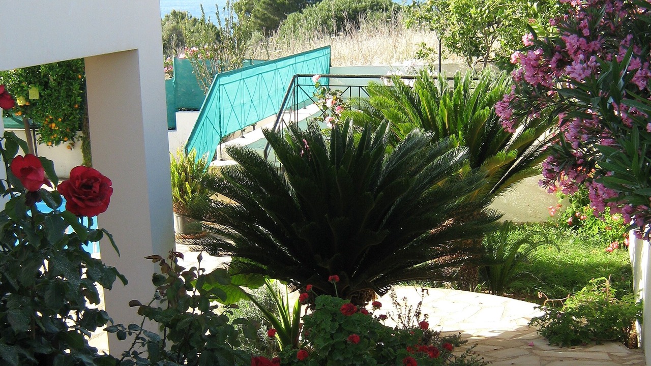 Photo of Outdoor in Latchi