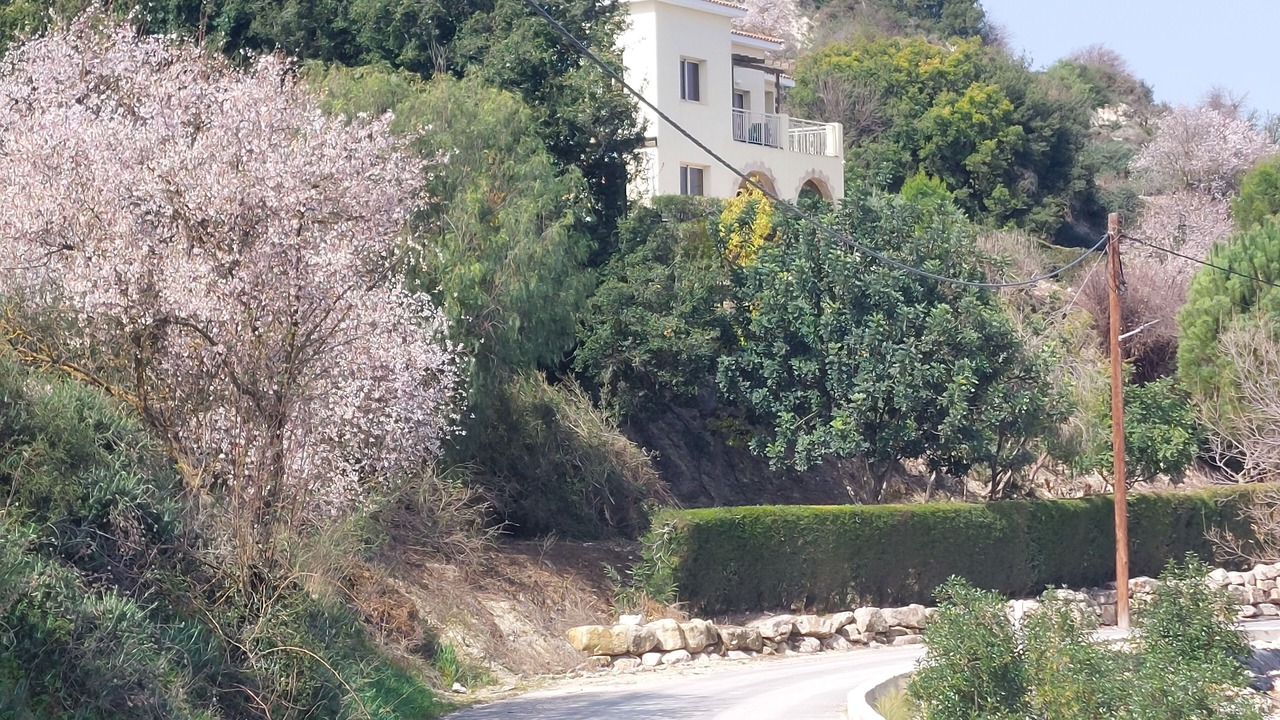 Photo of Outdoor in Kathikas