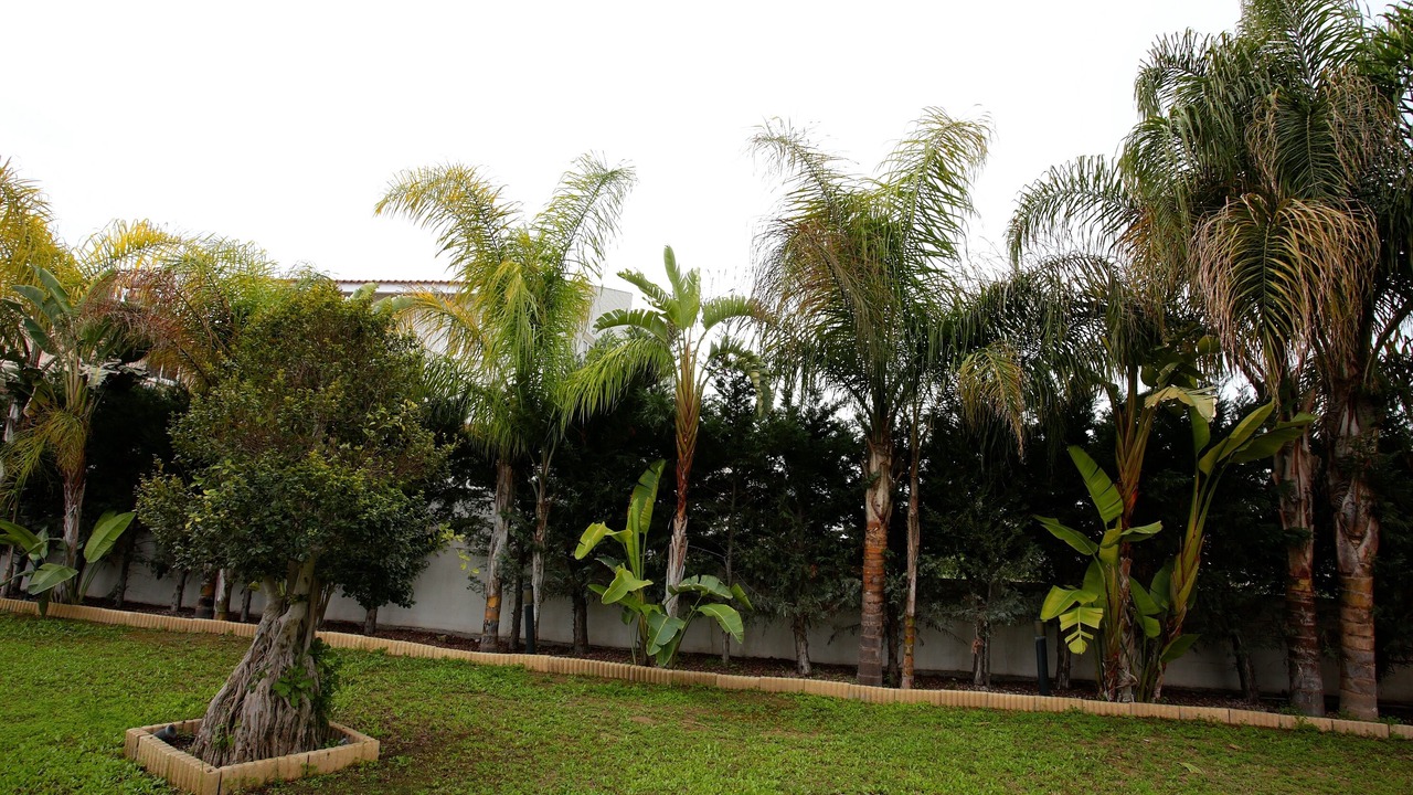 Photo of Outdoor in Aradippou