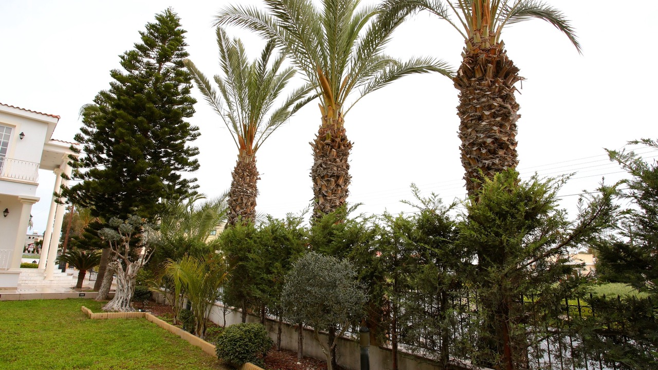 Photo of Outdoor in Aradippou
