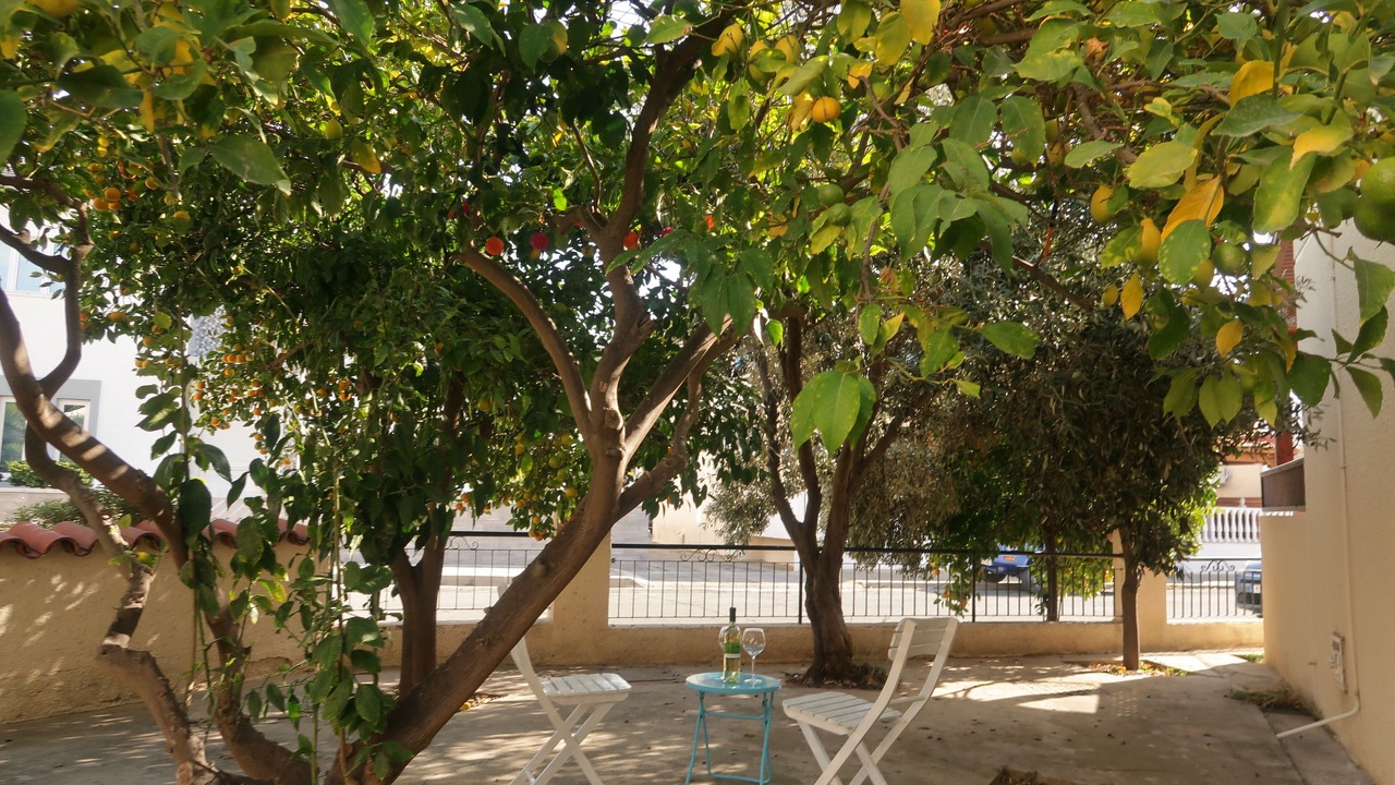 Photo of Patio Balcony in Pyla