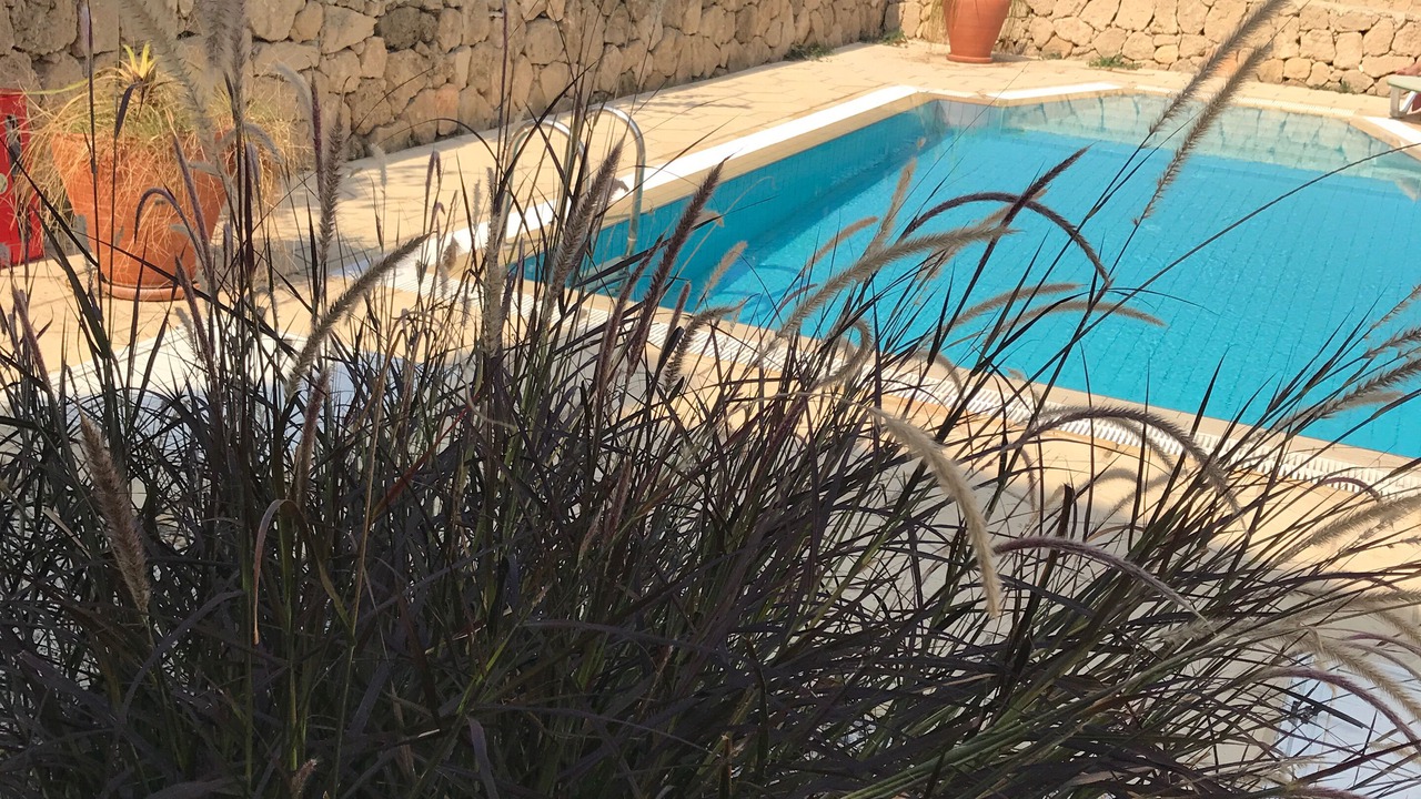 Photo of Outdoor in Catalkoy