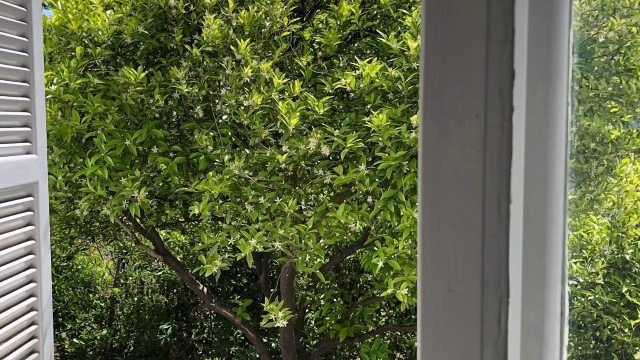 Photo of Others in Nicosia