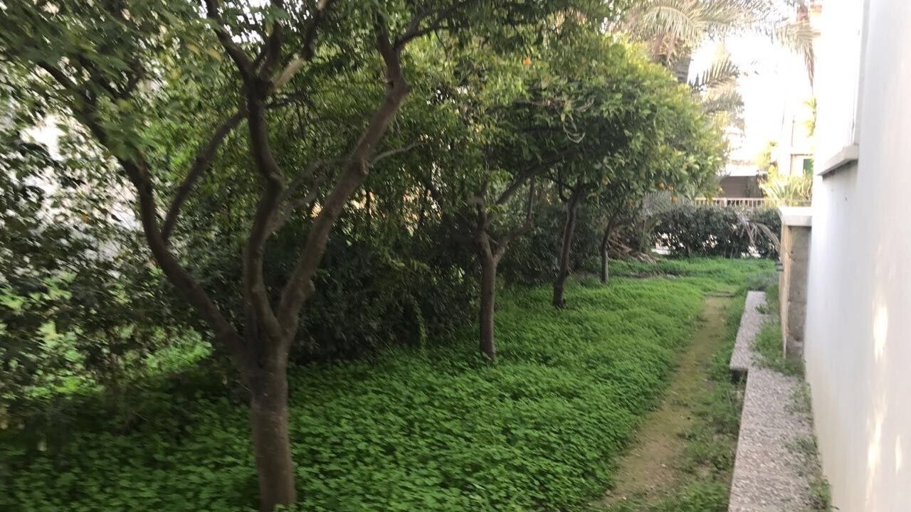 Photo of Outdoor in Nicosia