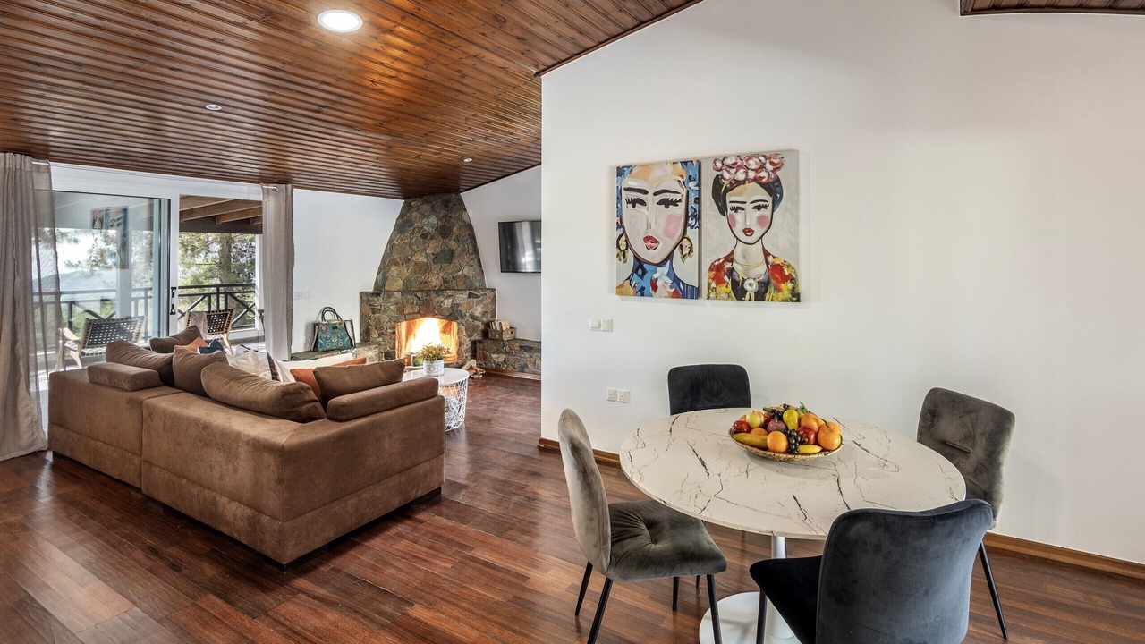 Photo of Livingroom in Platres