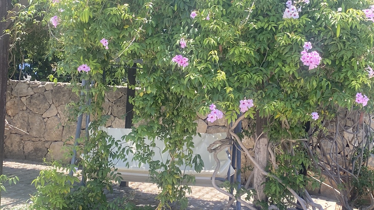 Photo of Outdoor in Dogankoy