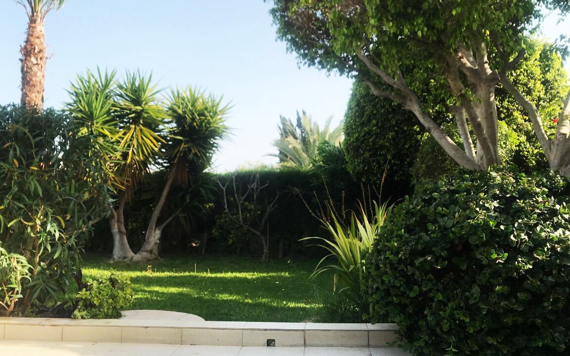 Photo of Outdoor in Limassol