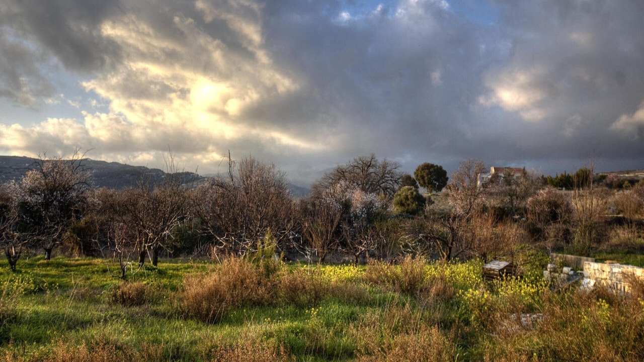 Photo of Others in Laneia