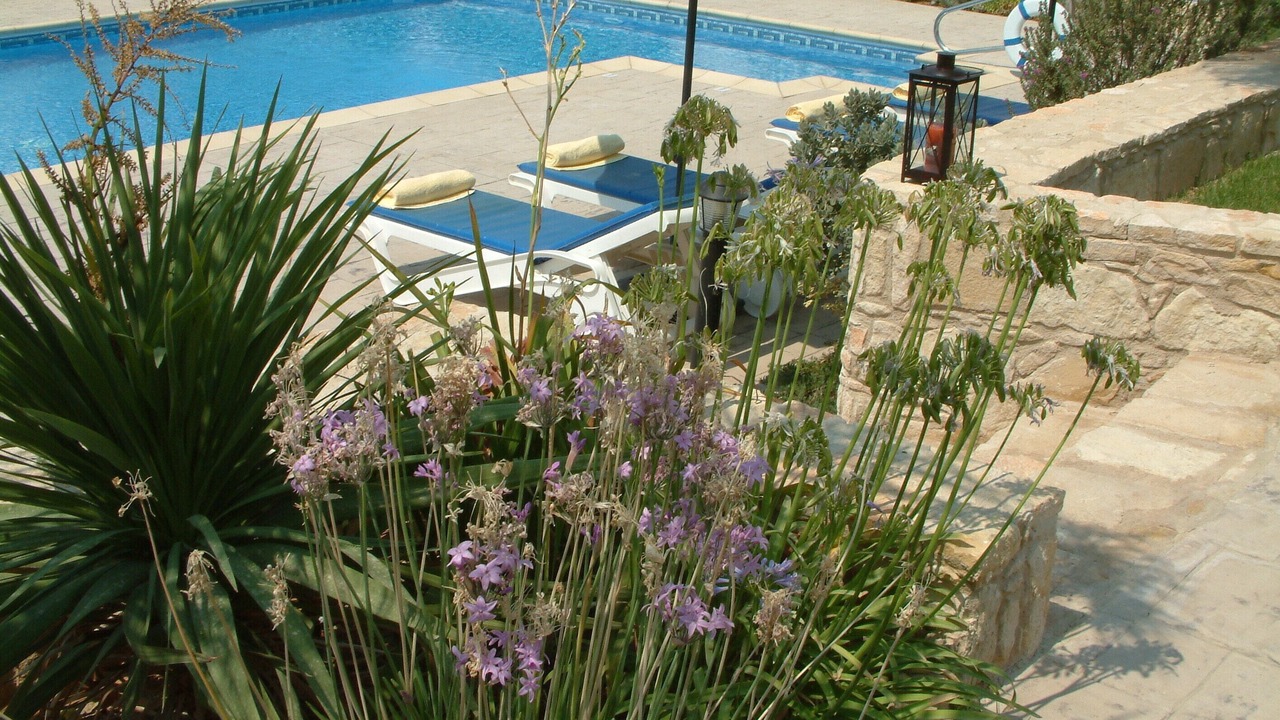 Photo of Outdoor in Pissouri