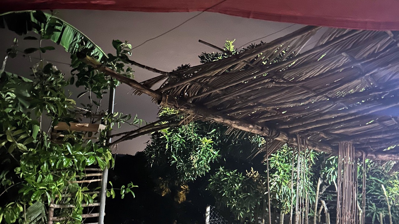 Photo of Outdoor in Masaya