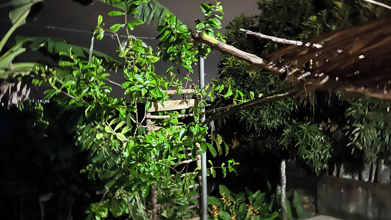 Photo of Outdoor in Masaya