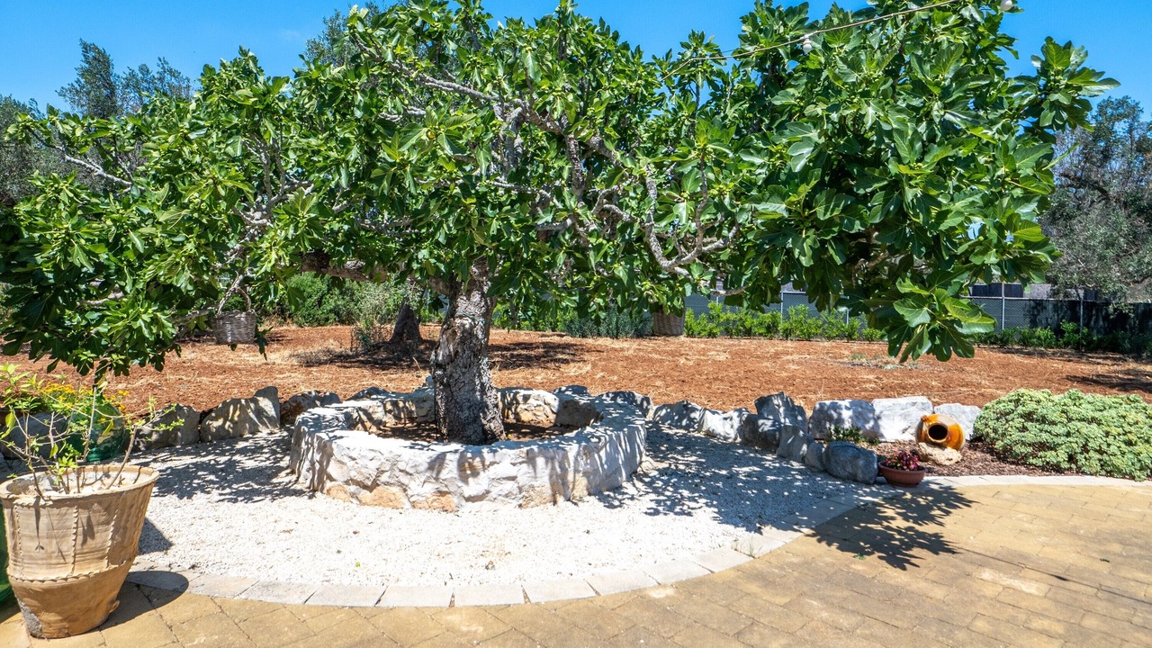 Photo of Outdoor in Mesagne