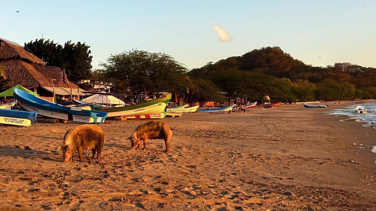 Photo of Others in Playa La Redonda