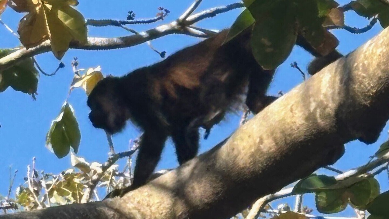 Photo of Others in Playa La Redonda