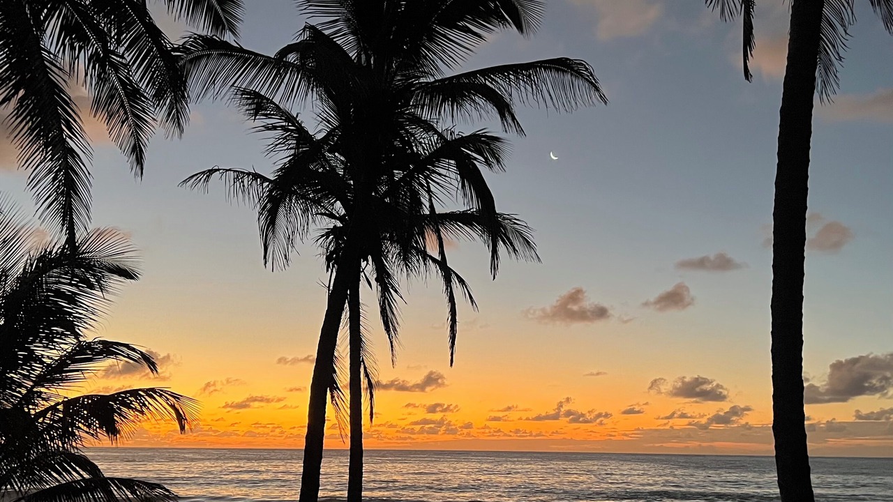Photo of Others in Corn Island