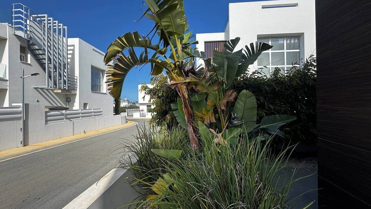 Photo of Outdoor in Protaras