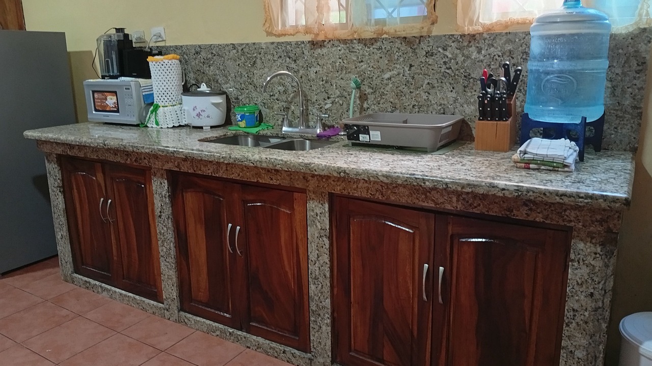 Photo of Kitchen in Masaya
