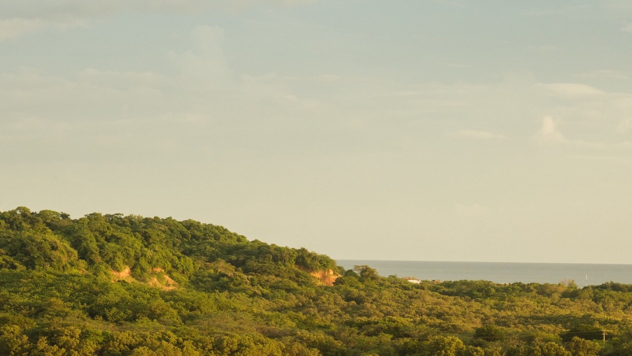 Photo of Others in Popoyo