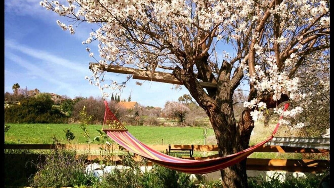 Photo of Outdoor in Anogyra