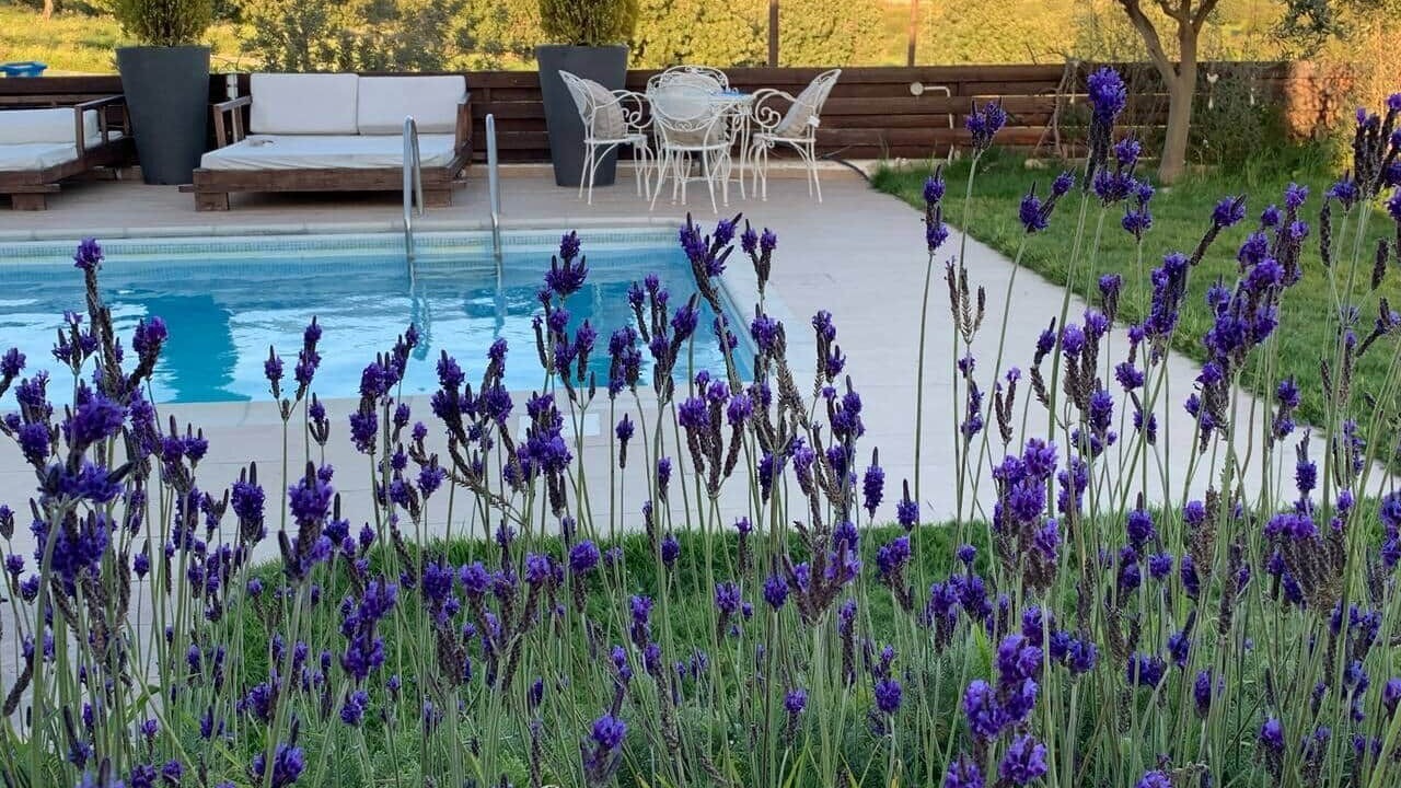 Photo of Outdoor in Anogyra