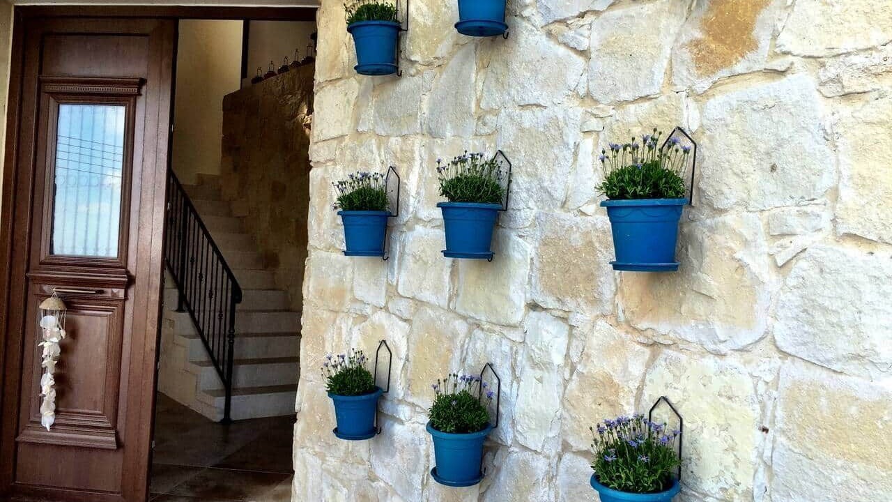 Photo of Outdoor in Anogyra