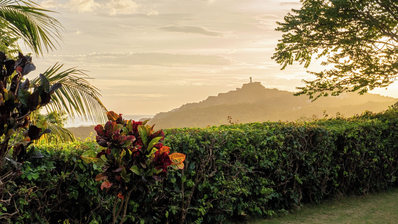 Photo of Others in San Juan del Sur