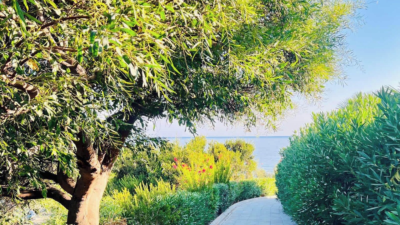 Photo of Outdoor in Neo Chorio