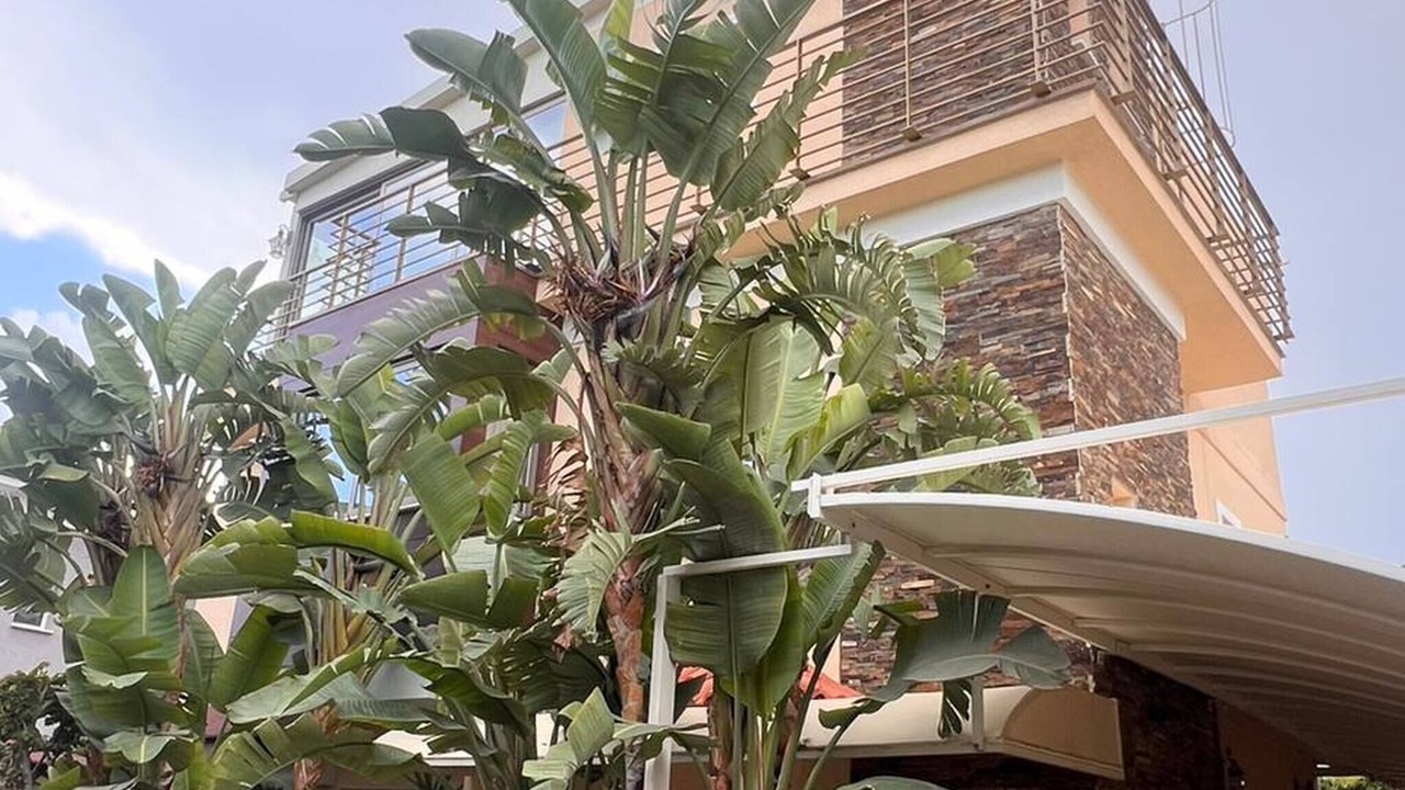 Photo of Outdoor in Oroklini