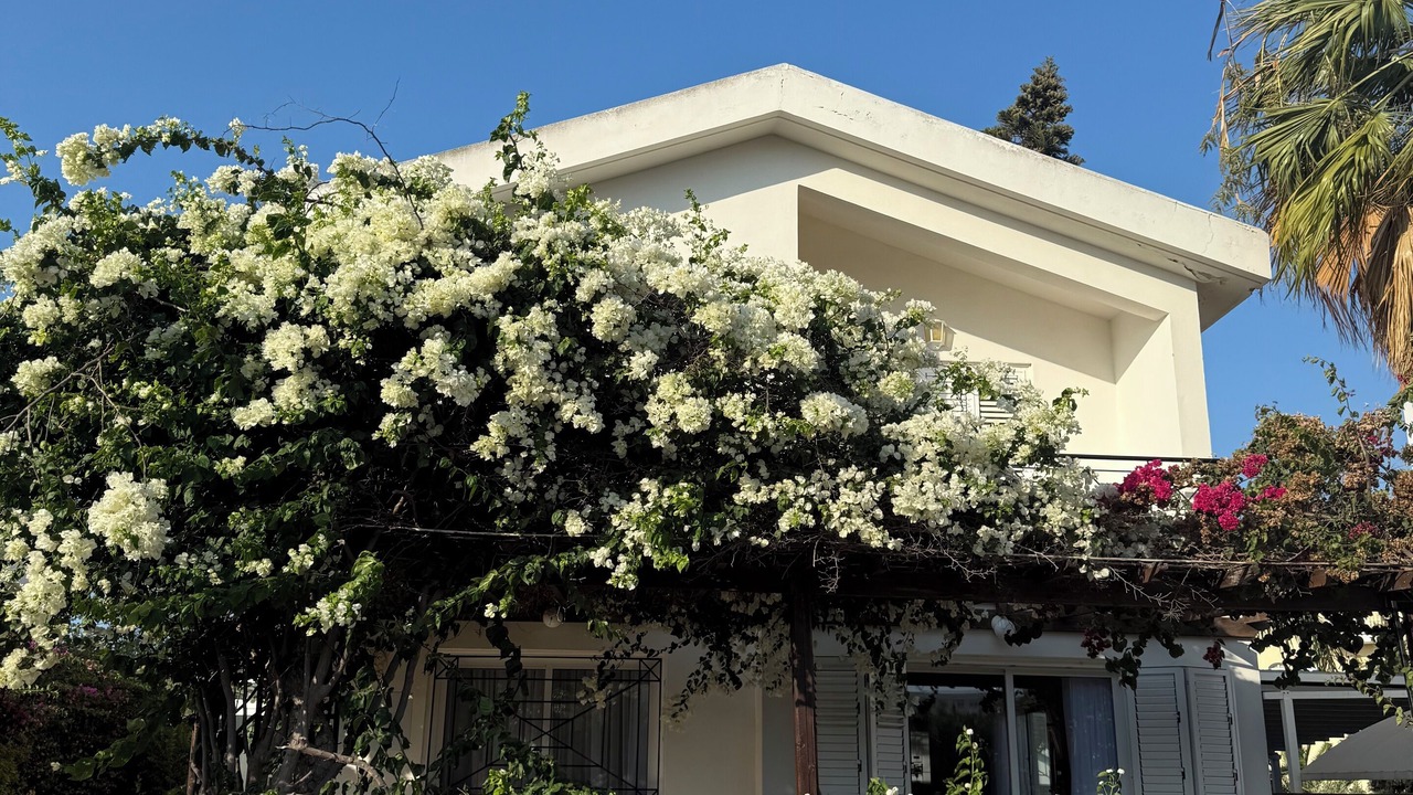 Photo of Outdoor in Pernera