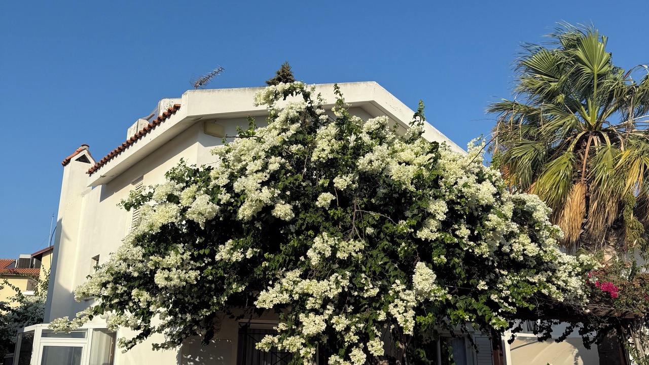 Photo of Outdoor in Pernera
