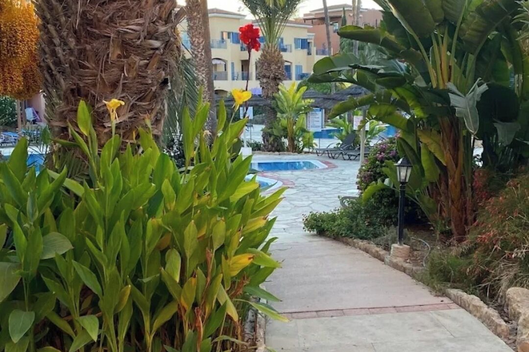 Photo of Outdoor in Paphos