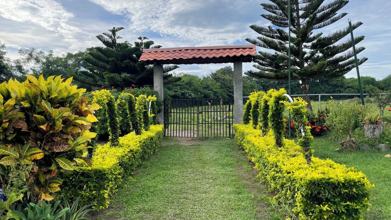 Photo of Outdoor in Ometepe Island