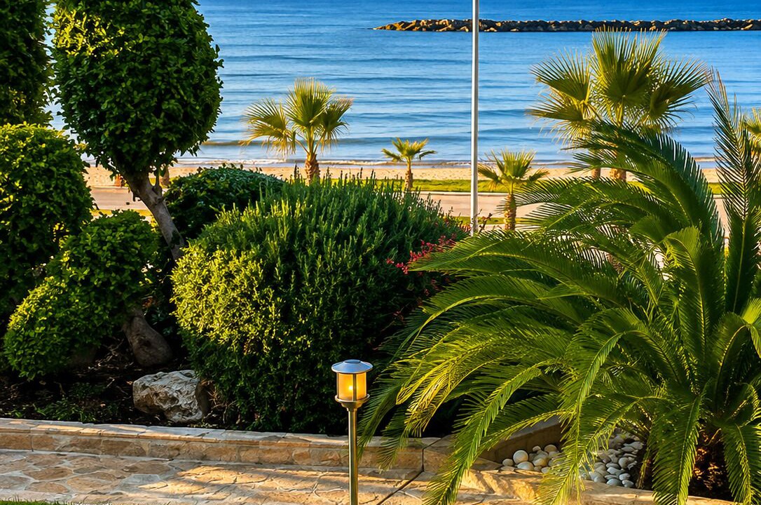 Photo of Outdoor in Larnaca