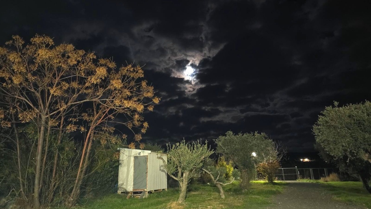 Photo of Others in Agios Georgios Pegeias
