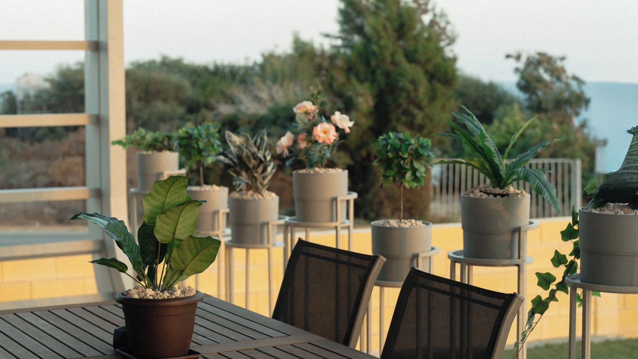Photo of Outdoor in Maroni