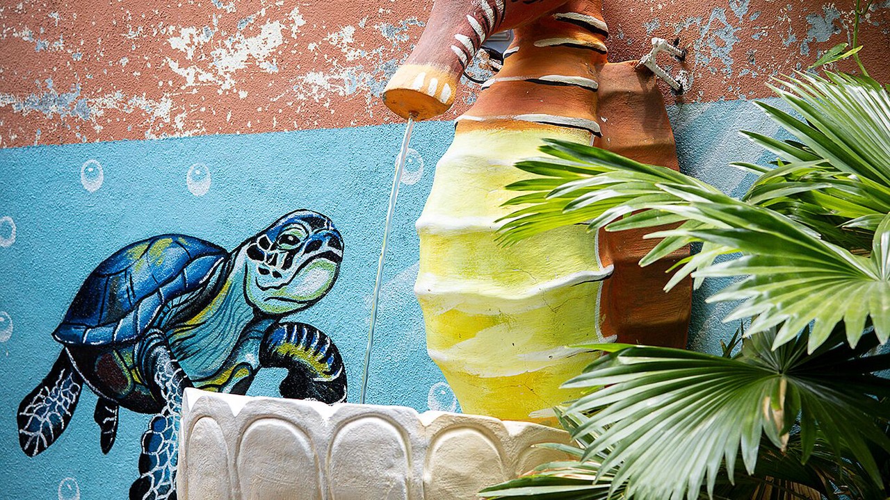 Photo of Outdoor in Leon