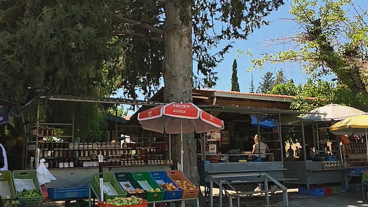 Photo of Others in Trimiklini