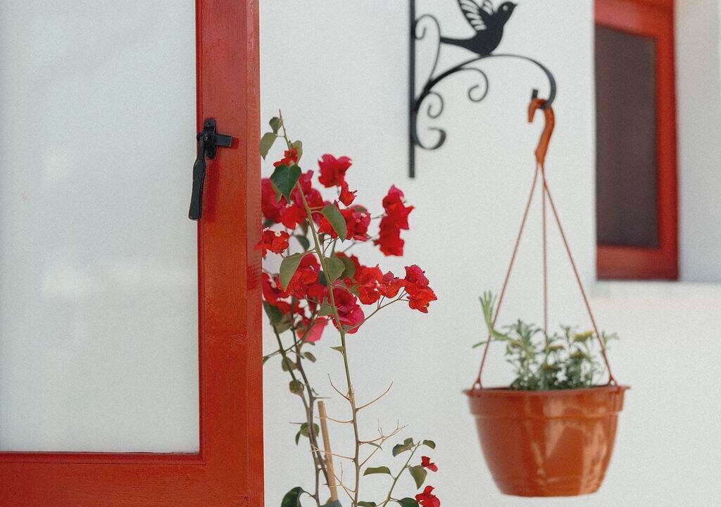 Photo of Outdoor in Agios Theodoros